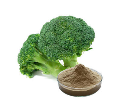 深入探讨西兰花提取物 植物提取物的健康价值与应用