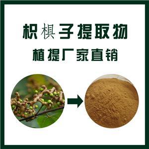 枳椇子提取物 生产商、市场价格与应用解析