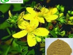 连翘提取物 天然活性成分连翘甙的应用与研究