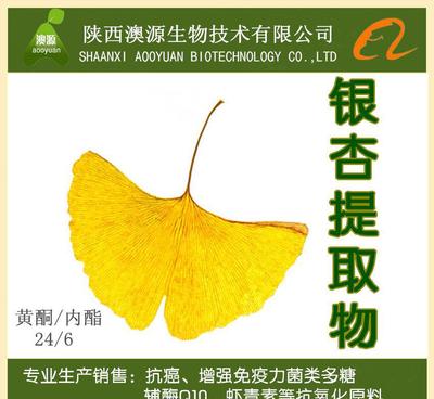 银杏提取物 天然植物精华，助力循环与抗衰老