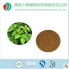 仙鹤草提取物10:1-西安小草植物科技有限责任公司